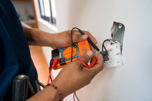 Best Electric Panel Repair  in Halifax, VA